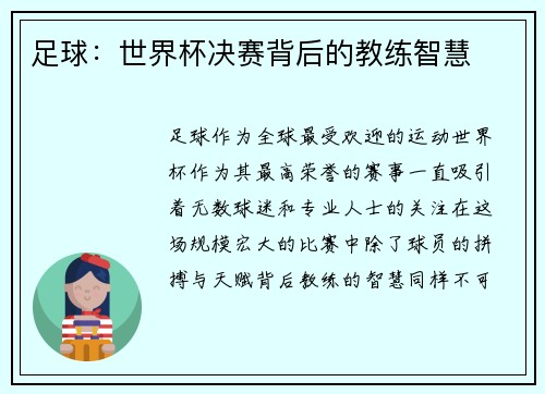 足球：世界杯决赛背后的教练智慧