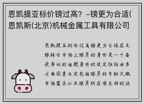 恩凯提亚标价镑过高？-镑更为合适(恩凯斯(北京)机械金属工具有限公司)